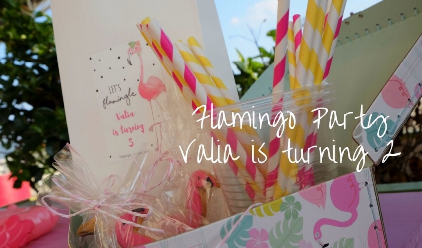 Party αναρρίχησης flamingo – Valia is turning 5