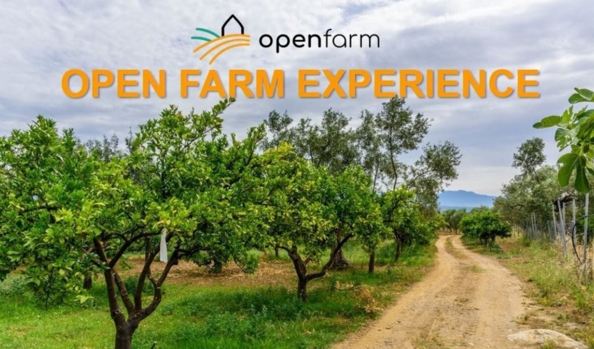 Open Farm – Μια ημέρα αφιερωμένη στην κηπουρική και τα αγροκτήματα για όλη την οικογένεια