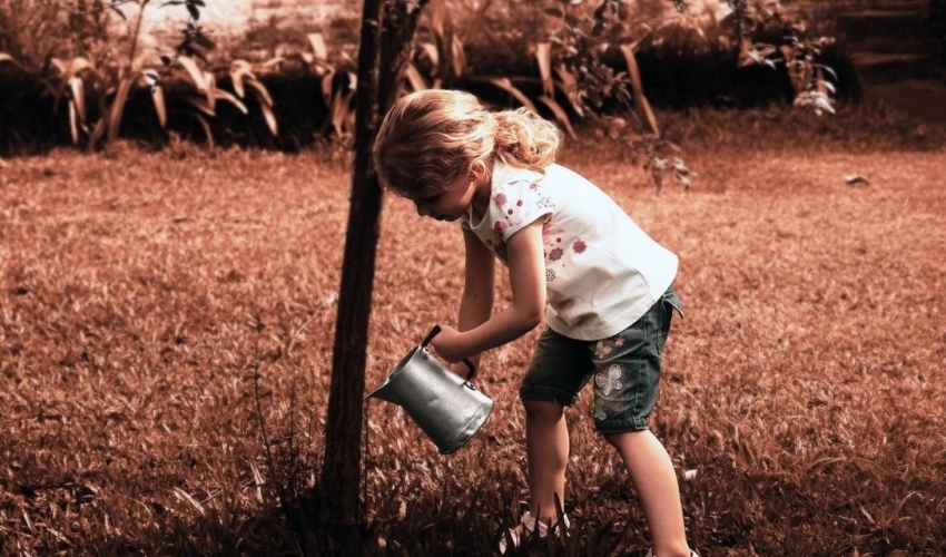 Φθινοπωρινές προτάσεις για τους μικρούς μας φίλους: Εικαστικές και εκπαιδευτικές δράσεις, θέατρο και βιβλία Φθινοπωρινές προτάσεις για τους μικρούς μας φίλους: Εικαστικές και εκπαιδευτικές δράσεις, θέατρο και βιβλία
