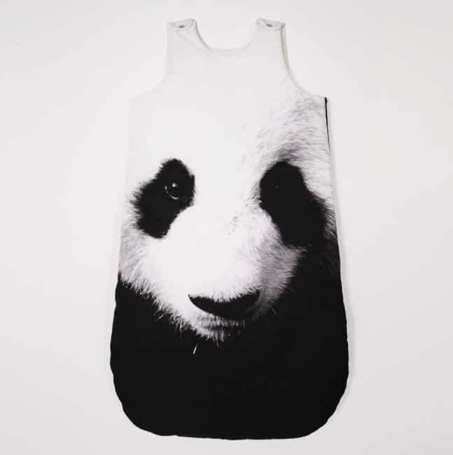 anatology_panda