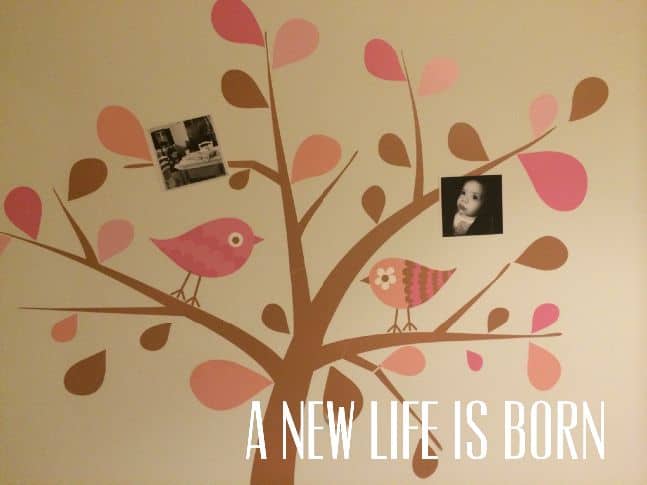 Η ζωή ξαναγεννιέται – Video από τις Ψηφιακές Γειτονιές