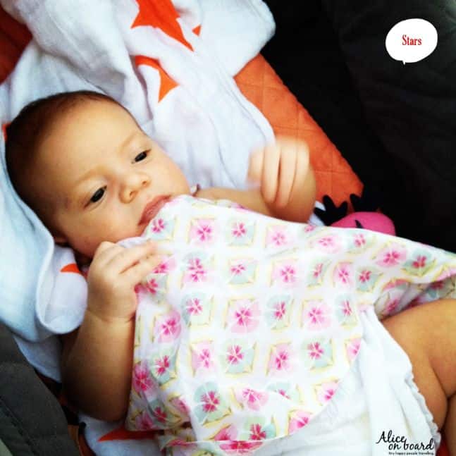 aden and anais 2