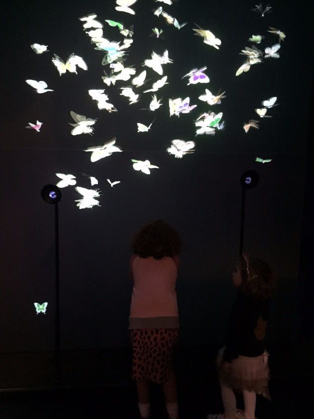 digital revolution butterflies