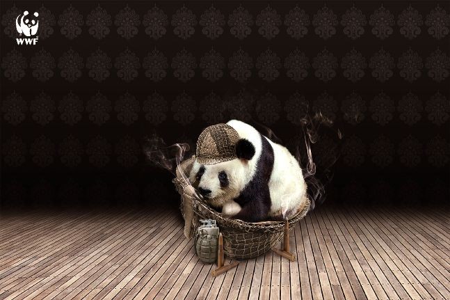 wwf