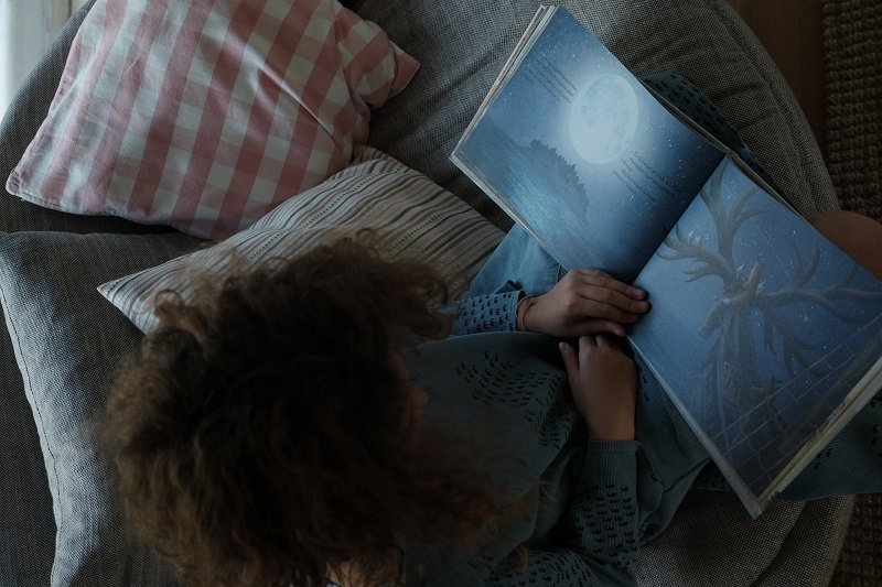 το ελαφοκάραβο