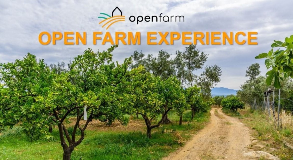 Open Farm – Μια ημέρα αφιερωμένη στην κηπουρική και τα αγροκτήματα για όλη την οικογένεια Open Farm – Μια ημέρα αφιερωμένη στην κηπουρική και τα αγροκτήματα για όλη την οικογένεια