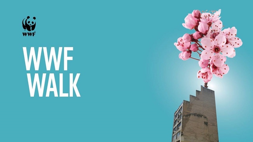 wwf walk