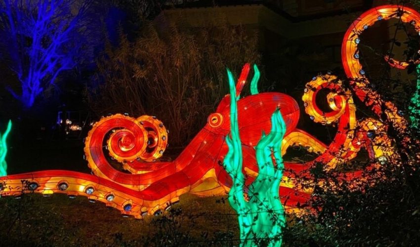 Ocean en Illumination – Μια διαδρομή μαγευτική ανάμεσα σε γιγαντιαία φωτεινά γλυπτά των θαλασσών