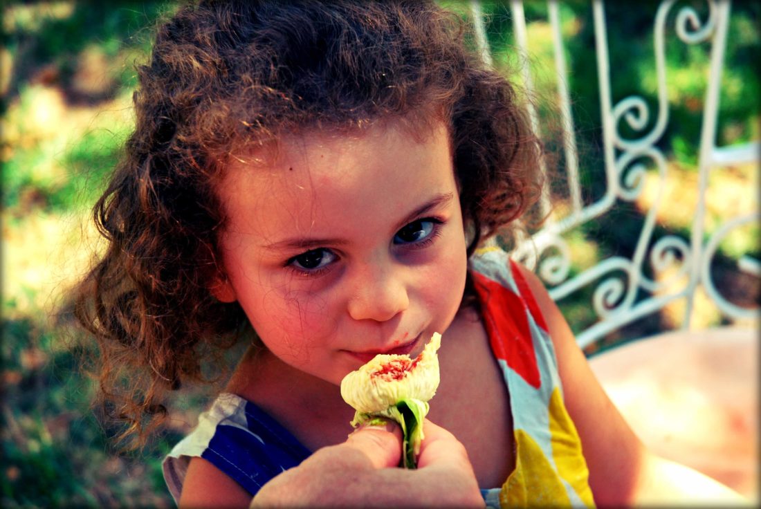 Το σπίτι κάτω από τα δέντρα…και όχι μόνο!